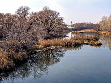 Sonbaharın sonlarında nehir manzarası, çıplak ağaçlar, kuru sazlıklar, Chelyabinsk şehrinin çıkışındaki Miass nehri.
