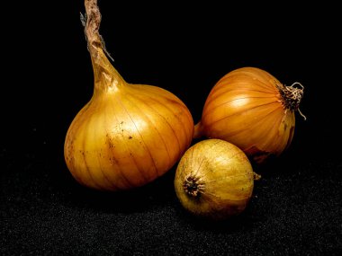 Siyah arka planda üç sarı soğan başı, makro.
