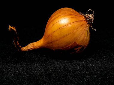 Siyah arka planda sarı soğan başı, makro.