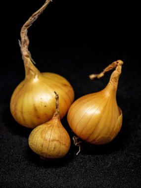 Siyah arka planda üç sarı soğan başı, makro.