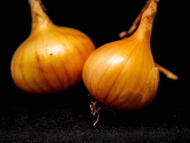 Siyah arka planda üç sarı soğan başı, makro.