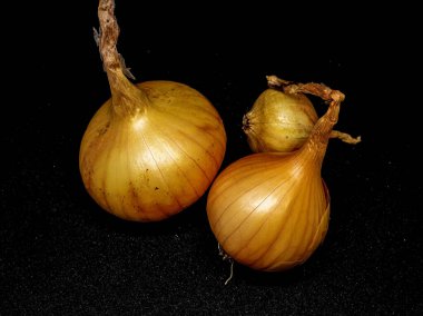 Siyah arka planda üç sarı soğan başı, makro.