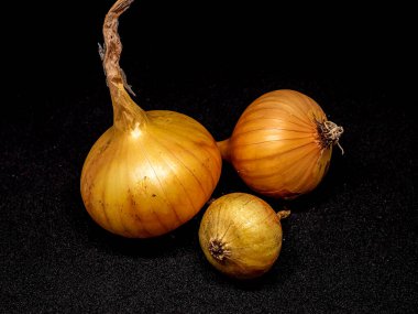 Siyah arka planda üç sarı soğan başı, makro.
