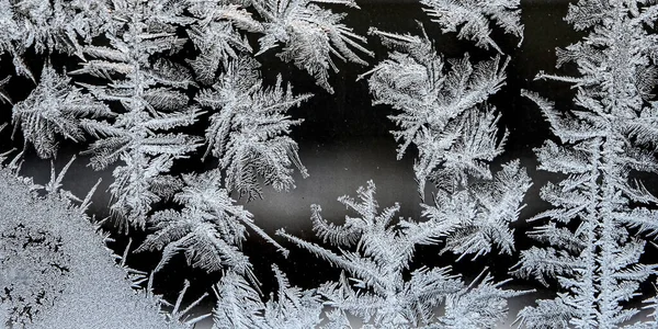 Frosty natural pattern on a winter window, texture of frosty patterns, dendritic image structure