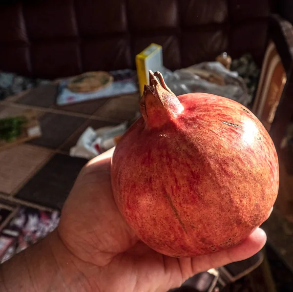 Ripe Red Pomegranate Fruit Man Hand Macro — Stock Photo, Image