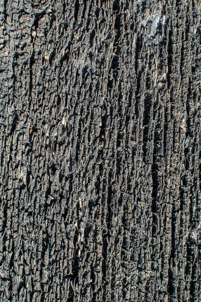 Texture of the surface of an old wooden board located in the open air for many years — Stock Photo, Image