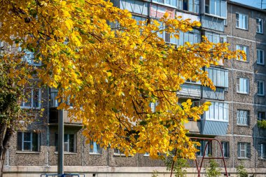 Bir konut binasının arka planında renkli sonbahar yaprakları