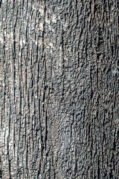 Texture Surface Old Wooden Board Located Open Air All Year — Stock Photo, Image