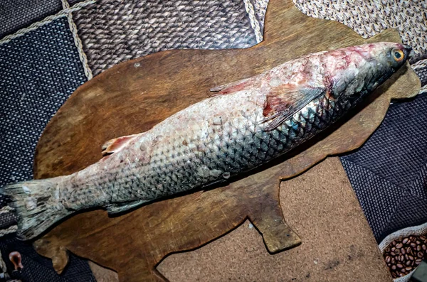 Kesme Tahtasında Latince Adı Mugilidae Olan Buzu Çözülmüş Tekir Balığı — Stok fotoğraf