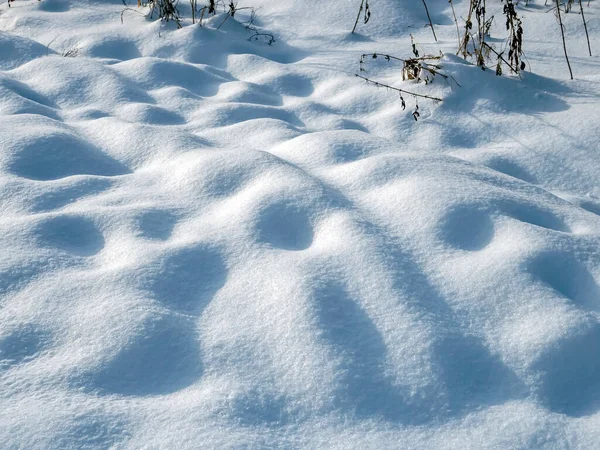 Cienie Porannym Śniegu Pokryte Śniegiem Tory Dziury Suche Chwasty Zimowy — Zdjęcie stockowe