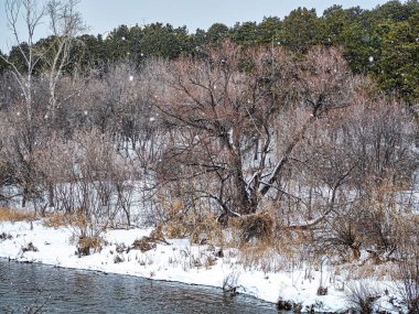 Şiddetli kar yağışı, açık deniz, karla kaplı kıyılar, orman, kırsal kesim, Kaştak, Güney Uralları boyunca şehrin dışındaki Miass Nehri 'nin üzerindeki köprüden manzara