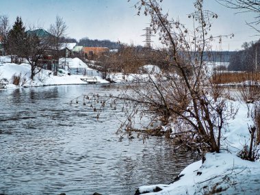 Kışın nehrin kıyısında büyük ağaçlar