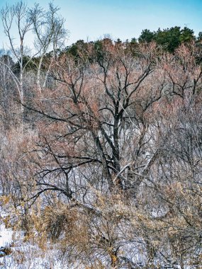 Şiddetli kar yağışı, açık deniz, karla kaplı kıyılar, orman, kırsal kesim, Kaştak, Güney Uralları boyunca şehrin dışındaki Miass Nehri 'nin üzerindeki köprüden manzara