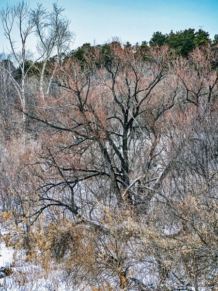Şiddetli kar yağışı, açık deniz, karla kaplı kıyılar, orman, kırsal kesim, Kaştak, Güney Uralları boyunca şehrin dışındaki Miass Nehri 'nin üzerindeki köprüden manzara