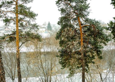Kışın karlı ve sisli çam ağaçlarının manzarası, orman, kırsal, uzakta Kashtak, Chelyabinsk, Güney Urallar köyünü görebilirsiniz.