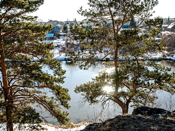 pine trees grow on the high bank of the river on a sunny spring day, the river and the village are visible, the sun is reflected in the water, the snow melts