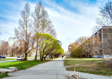 İlk yeşil bahar yaprakları şehrin sokaklarındaki ağaçlarda, sabahın erken saatlerinde, açık bulutlu mavi gökyüzü, narin yeşillikler