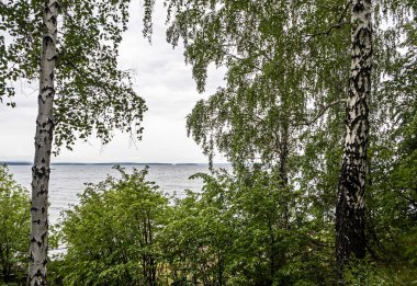 Kıyı manzarası, gölün üzerindeki ormanla kaplıydı. Rusya, Güney Urallar, Uvildy Gölü.
