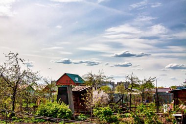 Parlak bulutlar, ağaçlar ve çiçeklerle dolu güzel, parlak bir bahar kırsal alanı.