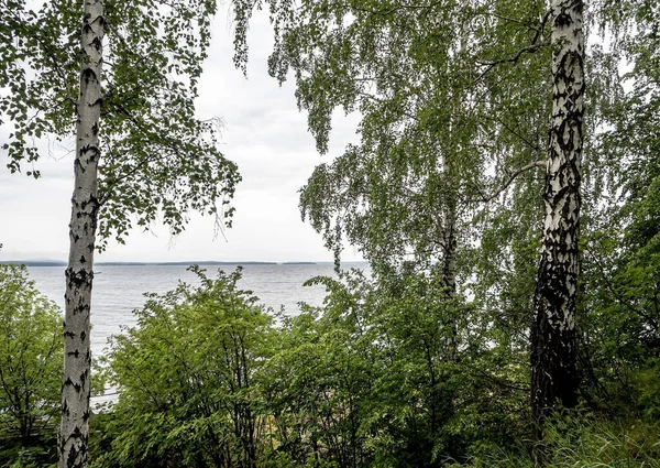 Kıyı Manzarası Gölün Üzerindeki Ormanla Kaplıydı Rusya Güney Urallar Uvildy — Stok fotoğraf