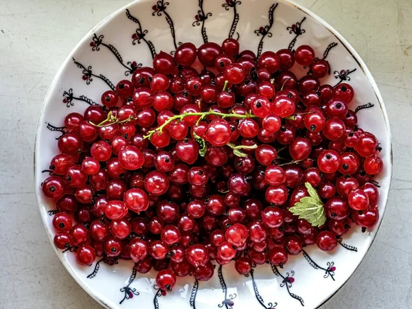 Блестящие Ягоды Красной Смородины Тарелке Отличный Вкус Преимущества — стоковое фото