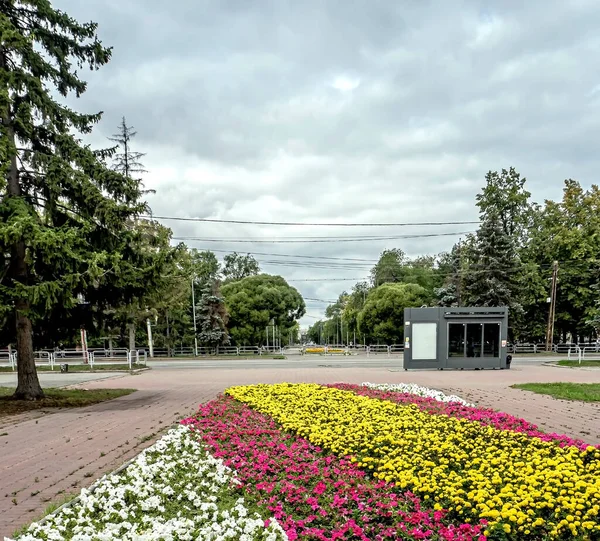 Lit Fleurs Multicolores Dans Ville Début Automne Quartier Métallurgique Tcheliabinsk — Photo