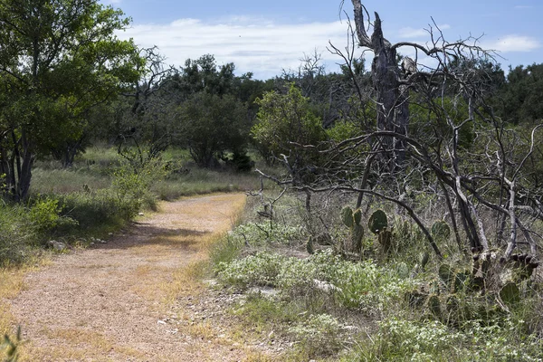 Texas Hill ülkede sarma yürüyüş iz. 