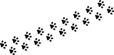 Çapraz bir çizgide sıralanmış siyah hayvan pençesi izleri yüzey boyunca yürüyen kedi ya da köpek gibi bir hayvanın hareketini gösteriyor..