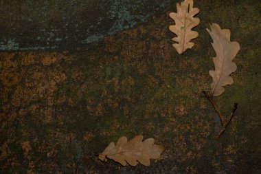 he oak leaves on metal with the remains of murals clipart