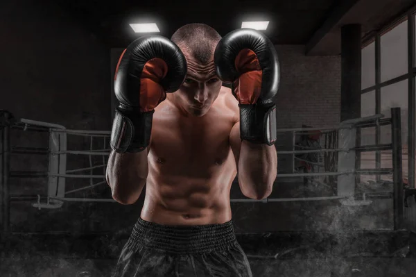 Image of a boxer in the gym. He covers his head with gloves. Protective rack. Mixed martial arts. Sports concept.