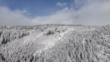 Büyüleyici karla kaplı orman manzarası, yavaş yavaş sakin kış manzarasına odaklanan kamera, doğanın güzelliğini ön plana çıkarıyor.