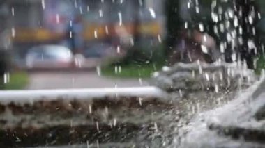 Çeşme Şehir Parkı kapatın. Makro.