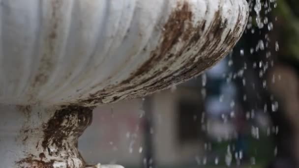 Gros plan de la fontaine dans le parc de la ville. Macro . — Video