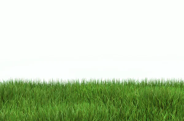 Gramado de grama verde com um espaço de cópia, ilustração 3D — Fotografia de Stock
