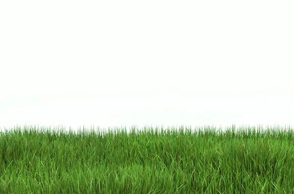 Yeşil çim çim bir kopya alanı, 3d çizim ile