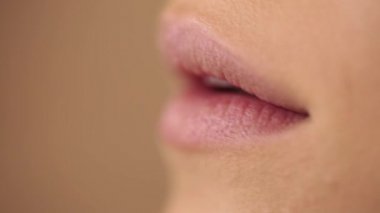 Dudaklar sürecinin bir fırça ile makyaj