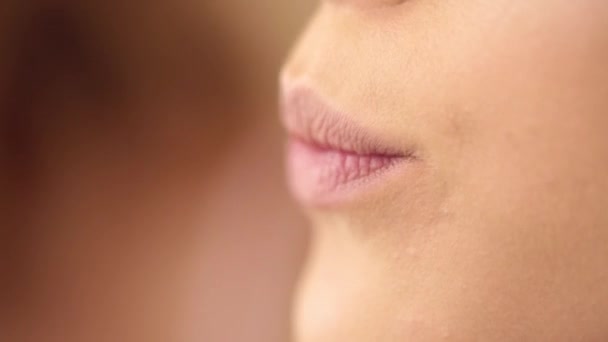 Proces van lippen make-up met een verfkwast — Stockvideo