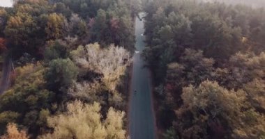 Ormanda 20 km 'lik bir limitle yol boyunca araba ve bisikletçilerle sonbahar ormanlarında uçmak.