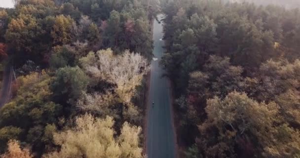 Vuelo sobre la carretera en el bosque con un límite de 20 km con coches y ciclistas, bosque de otoño — Vídeos de Stock