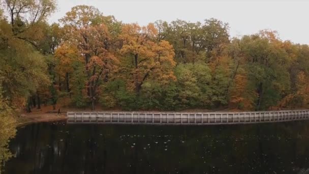 아름다운 가을 공원을 내려다볼 수있고 하얀 비둘기 주위를 선회하며 호수 위를 내려간다. — 비디오