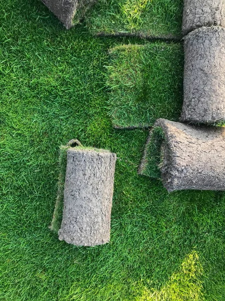 Rollos Césped Campo Golf Parque Día Soleado Sobre Fondo Pinos — Foto de Stock