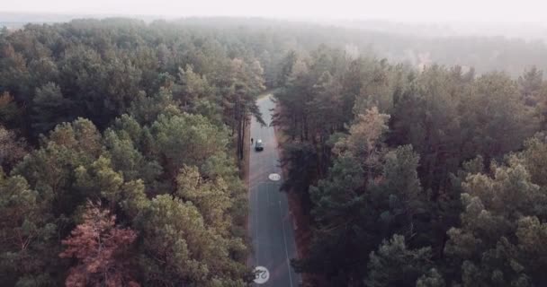 Πτήση πάνω από το δρόμο στο δάσος με όριο 20 χιλιόμετρα με αυτοκίνητα και ποδηλάτες, φθινόπωρο δάσος — Αρχείο Βίντεο