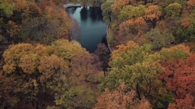 Sonbaharda parkın üzerinde uçmak, renkli ağaç tepeleri. Ufuktaki şehir