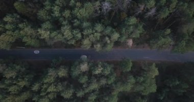 İnsansız hava aracı 20 km 'lik hız sınırı olan bir bisiklet yolu ile orman yoluna çıkıyor. Beyaz minibüs bisikletçileri.