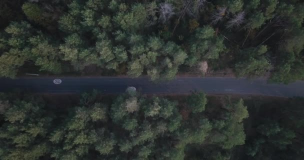 O drone descola sobre uma estrada florestal com uma ciclovia com um limite de velocidade de 20 km. Ciclistas van brancos. — Vídeo de Stock