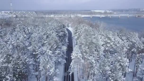 Estabelecendo tiros voo drone sobre a estrada na floresta de pinheiros, com vista para a ponte, cidade e rio no horizonte — Vídeo de Stock