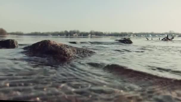 Řeka přetékala svými břehy, zblízka z proudu a kamení, na pozadí vyplaveného břehu a záběrů. — Stock video
