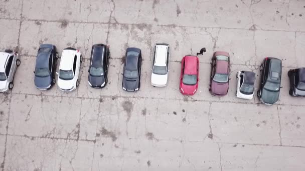 Kiev, Ucraina 13 luglio 2020 area di penalità, il conducente bypassa ispezionando la sua auto — Video Stock