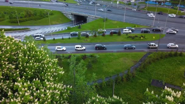 Vista aérea de los coches cargados en la hora de la tarde durante la puesta del sol después de dojd sobre un fondo de castañas florecientes — Vídeos de Stock