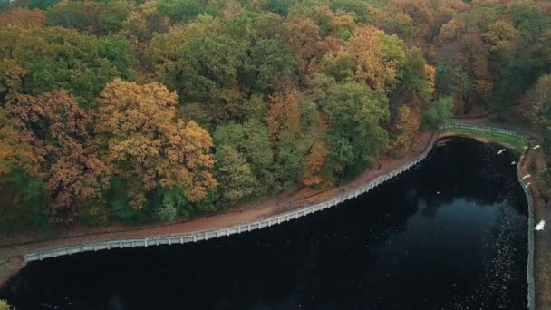 Sestup nad jezero s krásným výhledem na podzimní park a kroužící bílé holubice. — Stock video